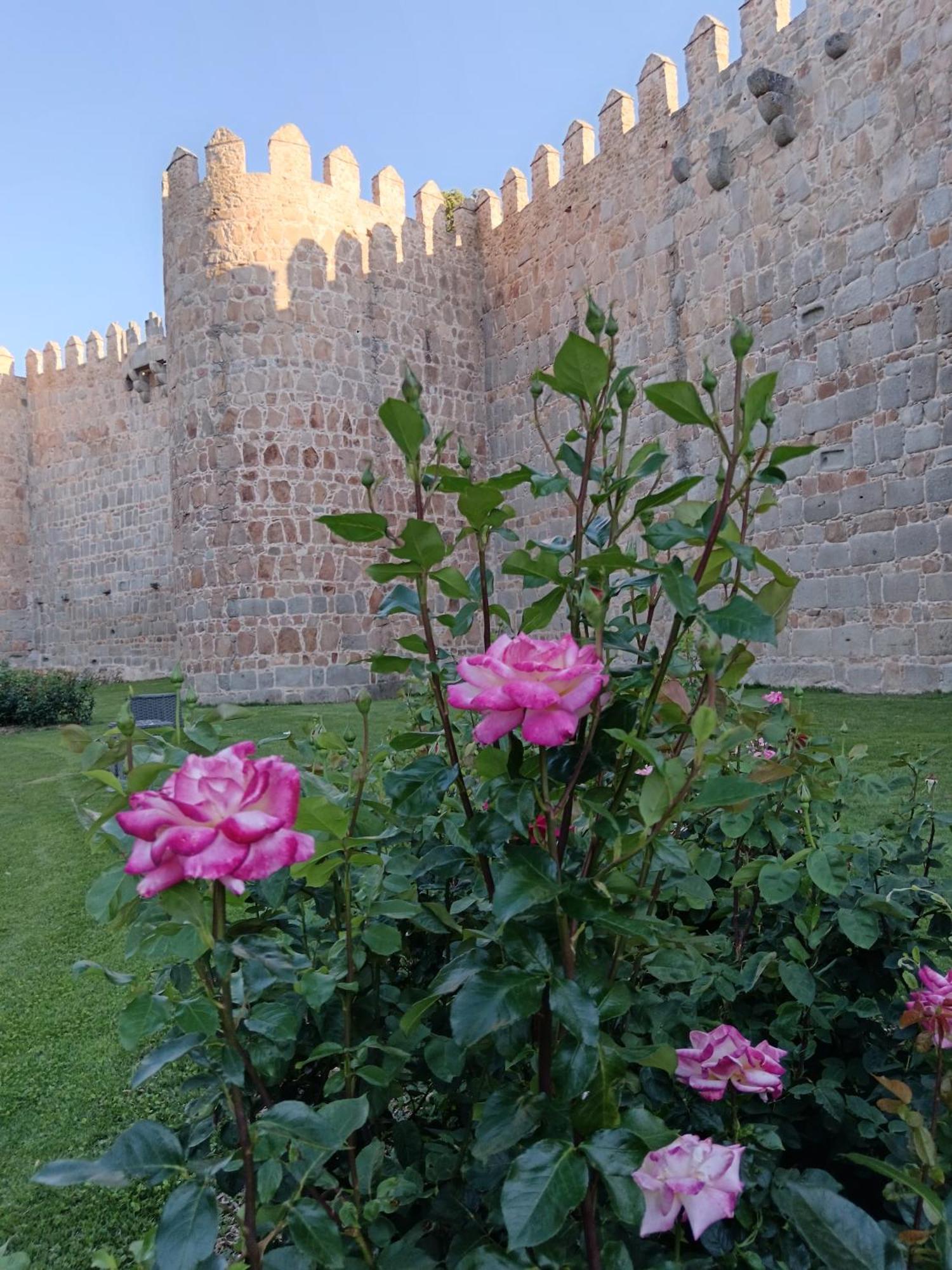 Hotel Don Carmelo Ávila Dış mekan fotoğraf
